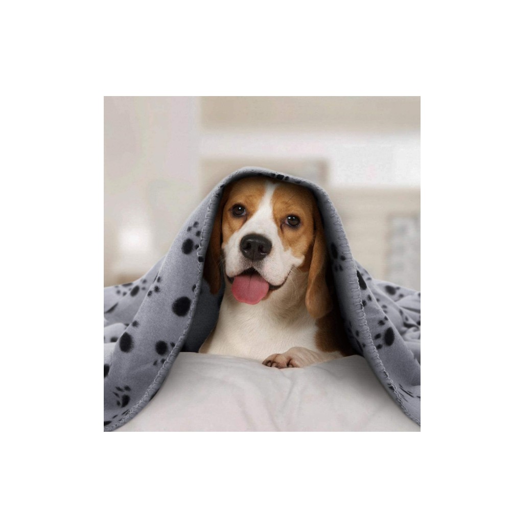 Coperta in pile con stampa di cane per bambini, con carlino, Sherpa, per divano, divano, divano