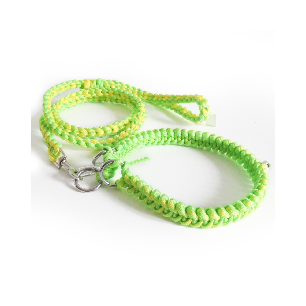 Guinzaglio con collare in Paracord per cani