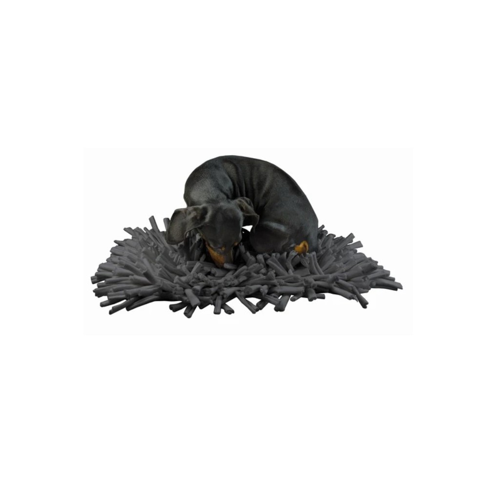 CHGCRAFT Tappetino Texture Per Argilla Con Conchiglie Oceaniche - Stampo In Gomma Per Gioielli Fai Da Te - 3