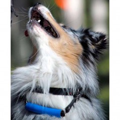 Collare di ricerca e salvataggio Modello Norvegese