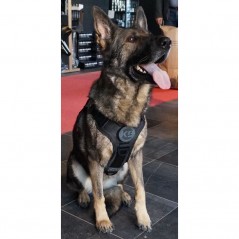 Pettorina K9 Wolf Pro