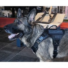 Pettorina K9 Wolf Pro