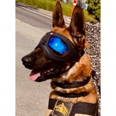 Maschera protettiva per cani