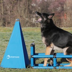 Q-BOX per formazione cani