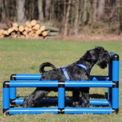 Q-BOX per formazione cani