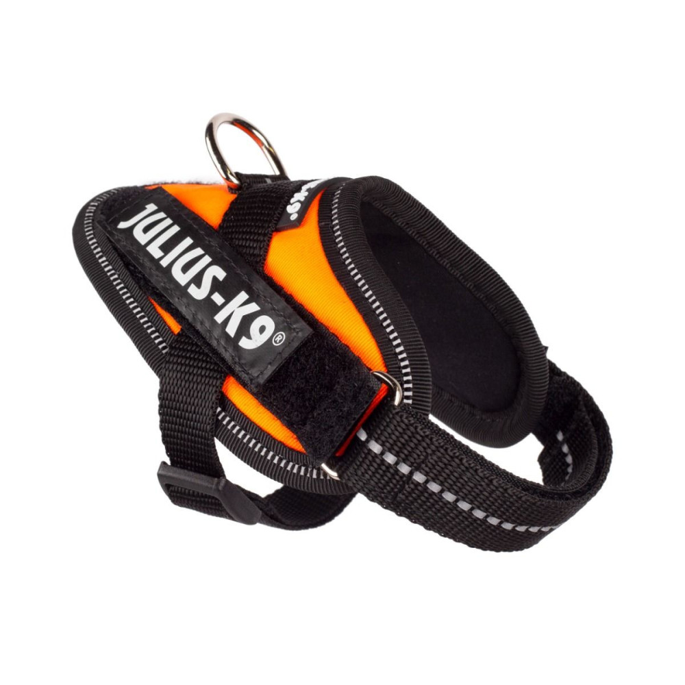 Pettorina Julius IDC® Powerharness Misura S/Mini