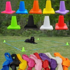 Box completo per l'allenamento obedience