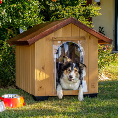 Box completo per l'allenamento obedience
