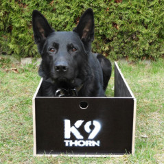 Box per posizioni K9 Thorn