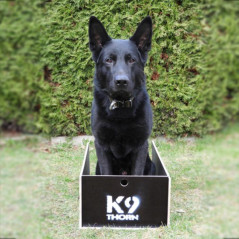 Box per posizioni K9 Thorn