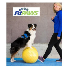 FitPaws Trax Peanut