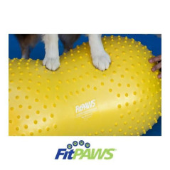 FitPaws Trax Peanut