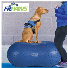 FitPaws Trax Peanut