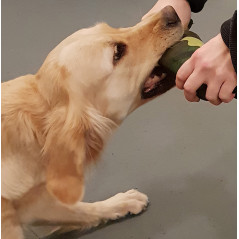 Copertura per bottiglia