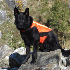 Giubbotto di segnalazione per cani