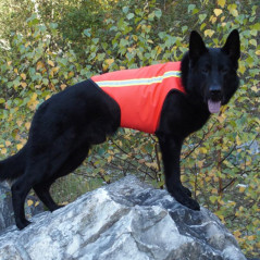 Giubbotto di segnalazione per cani