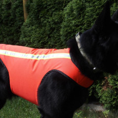 Giubbotto di segnalazione per cani