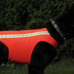 Giubbotto di segnalazione per cani