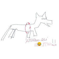 Pettorina Nylon Professionale K9, leggera. Nera