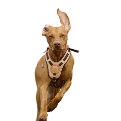 Dog Harness “MANTRAILING” Niggeloh