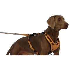 Dog Harness “MANTRAILING” Niggeloh