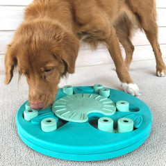 Nina Ottosson – Dog Worker (Level 3)