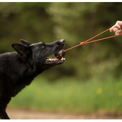 Palla in gomma naturale e bambù con corda
