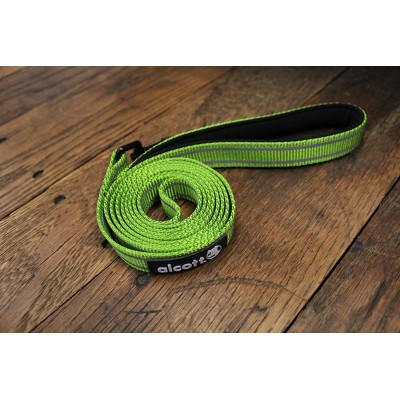 Guinzaglio nylon iridescente Explorer Adventure Verde per cani