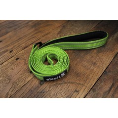 Guinzaglio nylon iridescente Explorer Adventure Verde per cani
