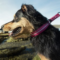 Collare nylon Outdoor scorrimento hurtta nero  per cani