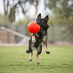 Pallone da calcio, non si sgonfia, Diam. 15 cm. per cani