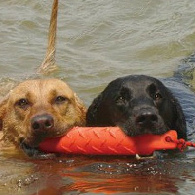 Dummy da riporto per retrievers KONG galleggiante per cani