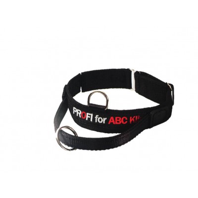 Collare velcro, maniglia e sgancio di sicurezza. 50-60cm per cani