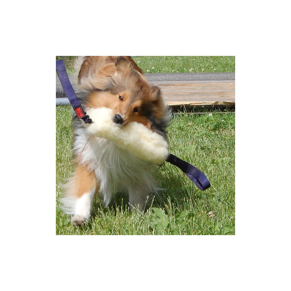 Salamotto pelo pecora doppia impugnatura bungee per cani