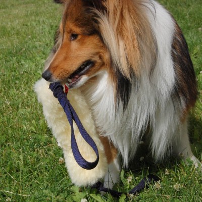 Salamotto pelo pecora doppia impugnatura bungee per cani