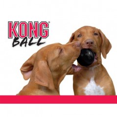 Pallina KONG Ball Extreme. Ultra resistente per cani