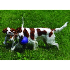 Pallone da calcio, non si sgonfia, con Corda per cani