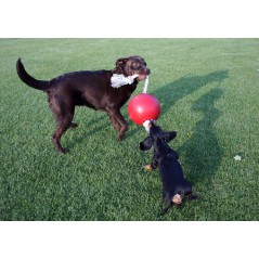 Pallone da calcio, non si sgonfia, con Corda per cani