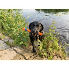 Gioco galleggiante CHUCK-IT Ultra Fetch Stick per cani