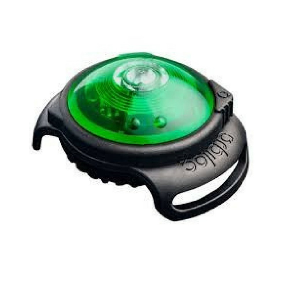 Luce led Orbiloc Dog Dual. Impermeabile addestramento cani