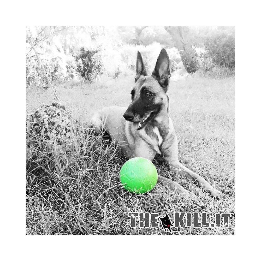 Pallone da calcio, non si sgonfia, Diam. 15 cm. per cani