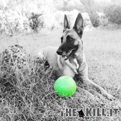 Pallone da calcio, non si sgonfia, Diam. 15 cm. per cani