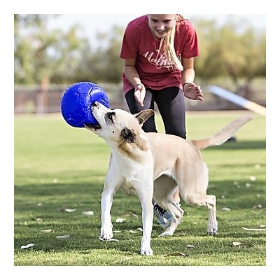 Pallone da calcio, non si sgonfia, Diam. 15 cm. per cani