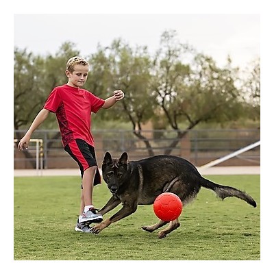 Pallone da calcio, non si sgonfia, Diam. 15 cm. per cani