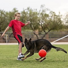 Pallone da calcio, non si sgonfia, Diam. 15 cm. per cani