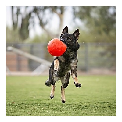 Pallone da calcio, non si sgonfia, Diam. 15 cm. per cani