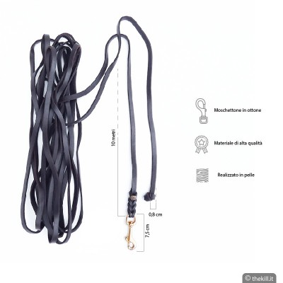 Longhina Cuoio MARRONE 10 mt Moschettone OTTONE per cani