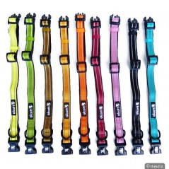 Collare nylon iridescente Alcott per cani