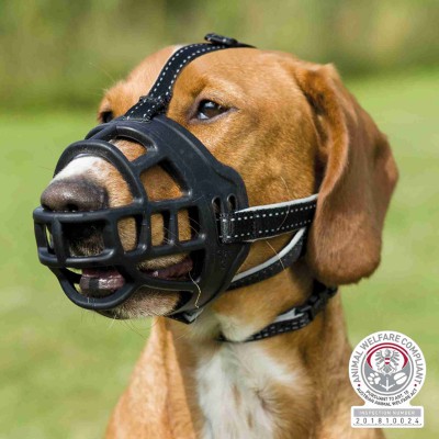 Museruola Muzzle Flex in silicone consente di bere e mangiare per cani