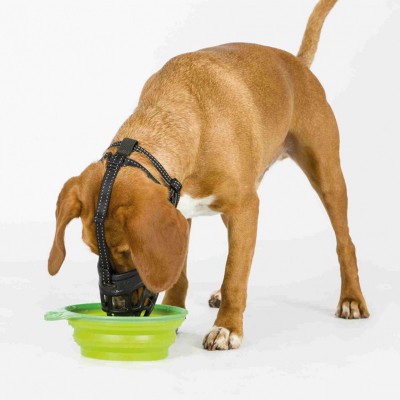 Museruola Muzzle Flex in silicone consente di bere e mangiare per cani